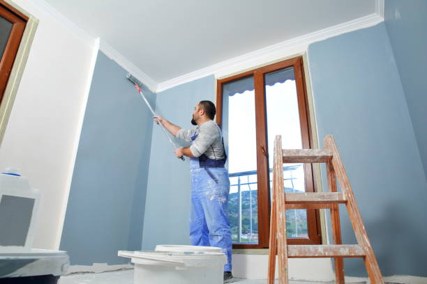 Eco-Friendly and Low-VOC Painting in Paradise, CA